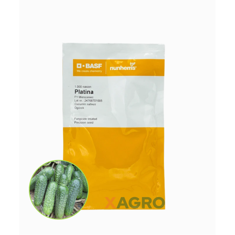 Ogórek gruntowy Platina F1