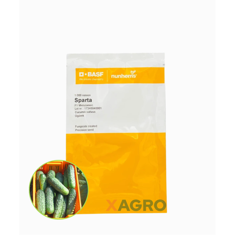 Ogórek gruntowy Sparta F1