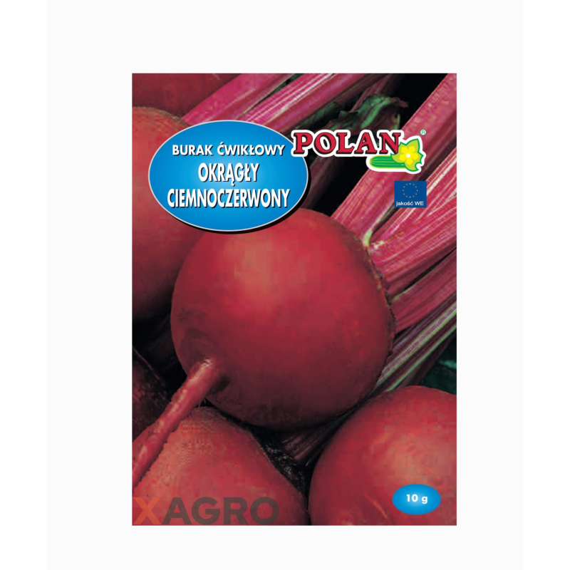 Burak ćwikłowy Okrągły Ciemnoczerwony