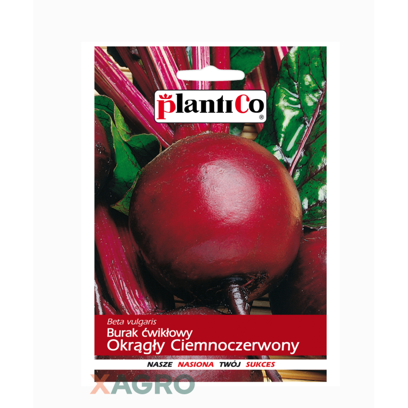 Burak ćwikłowy Ciemnoczerwony Okrągły