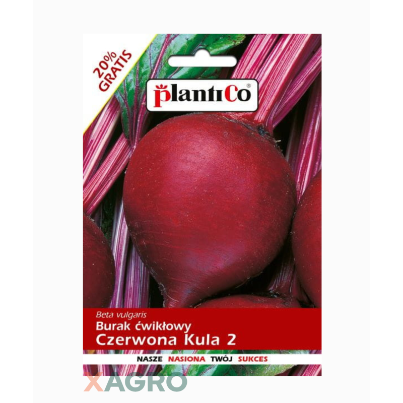Burak ćwikłowy Czerwona Kula