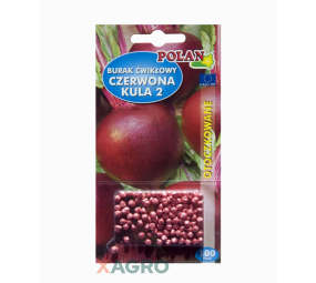 Burak ćwikłowy Czerwona Kula 2
