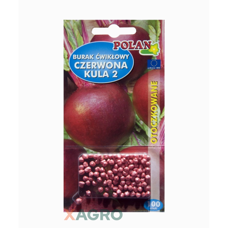 Burak ćwikłowy Czerwona Kula 2 Polan