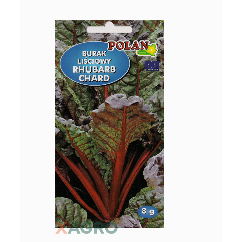 Burak liściowy Rhubarb Chard