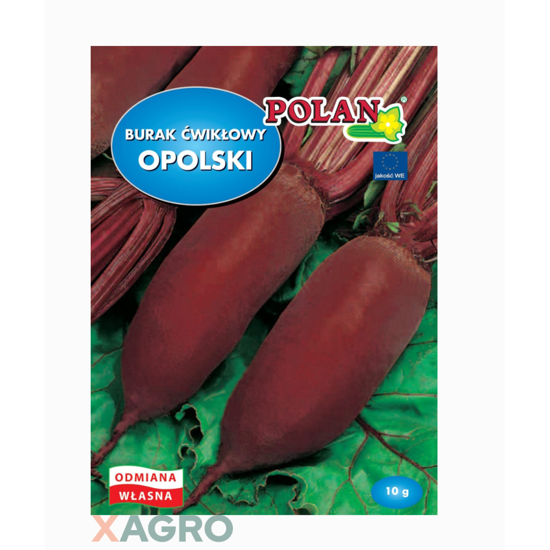 Burak ćwikłowy Opolski