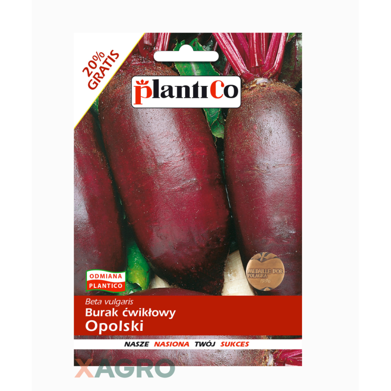 Burak Opolski ćwikłowy