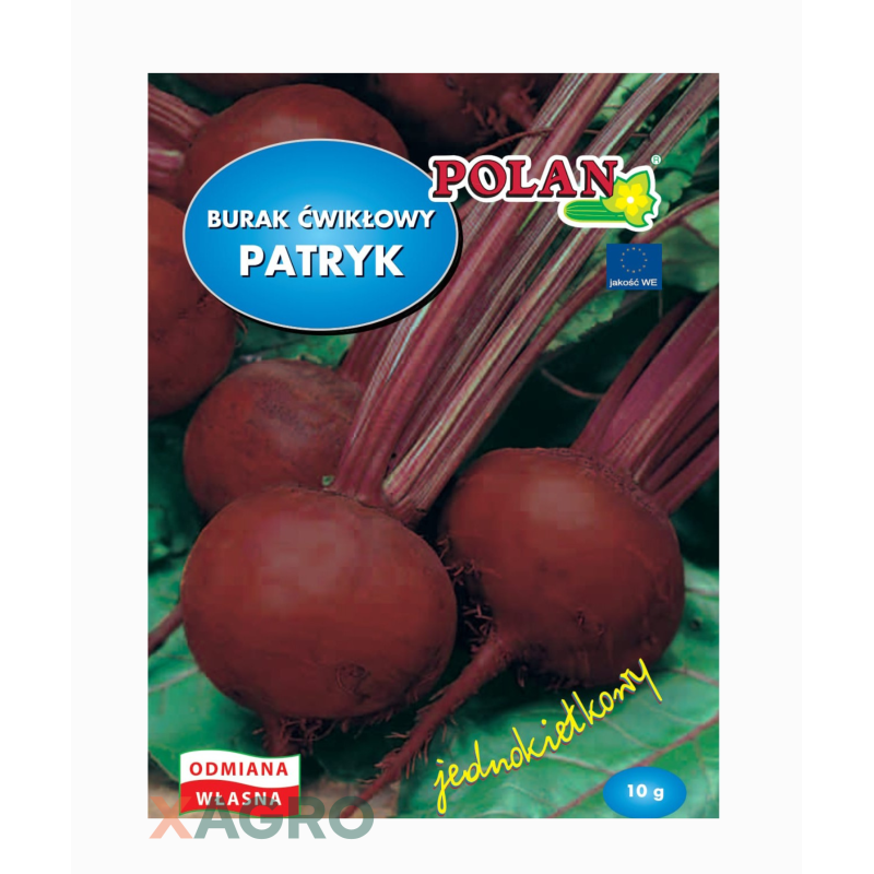 Burak ćwikłowy Patryk