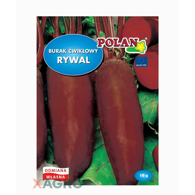 Burak ćwikłowy Rywal