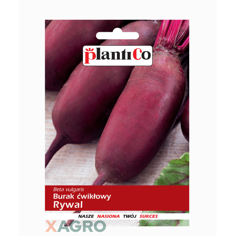 Burak Rywal ćwikłowy