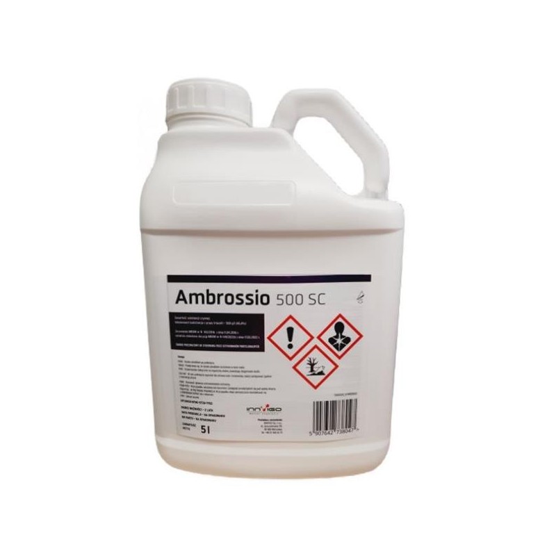 Ambrossio 500 SC