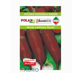 Burak Rywal ćwikłowy