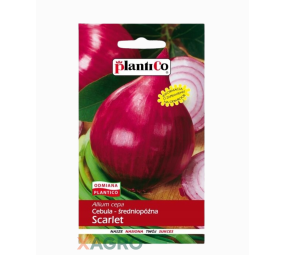 Cebula Scarlet