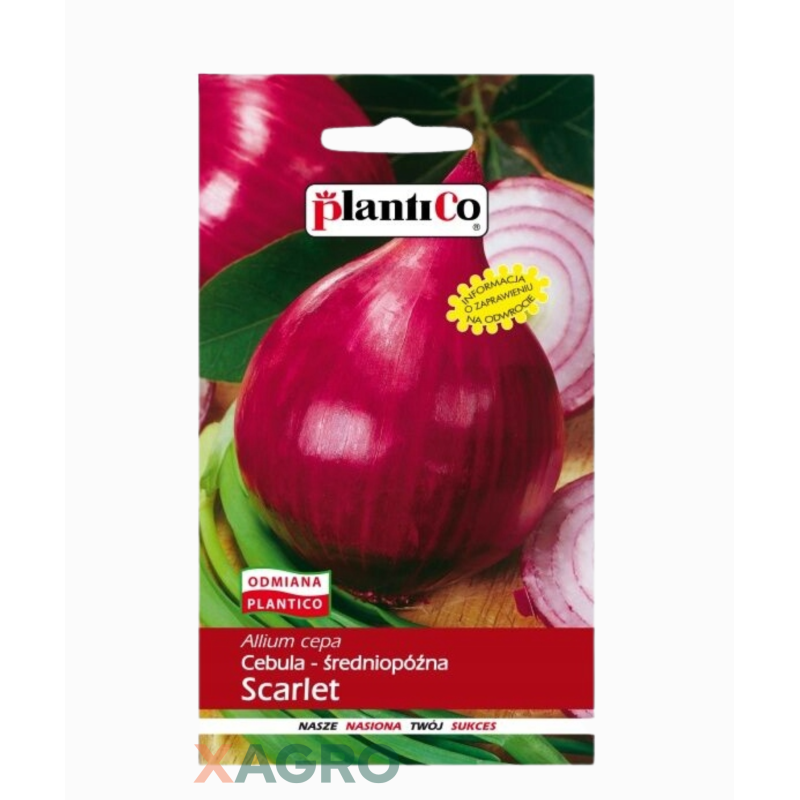 Cebula Scarlet