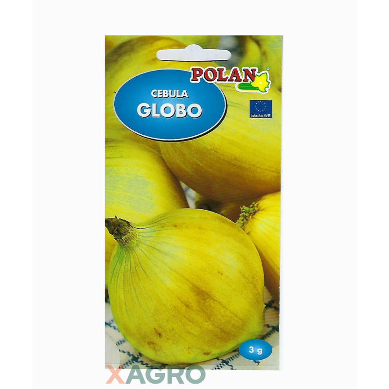 Cebula Globo