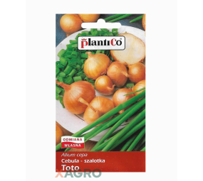 Cebula szalotka Toto