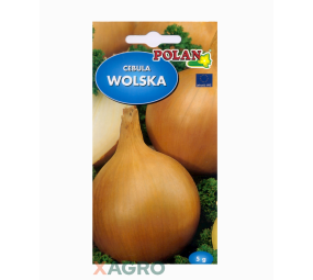 Cebula Wolska