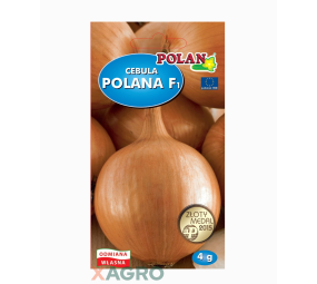 Cebula Polana F1