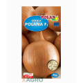 Cebula Polana F1