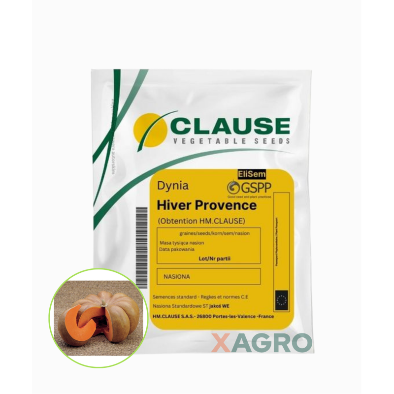 Dynia Hiver Provence