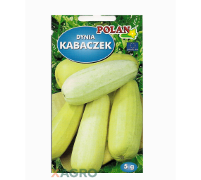 Kabaczek Złoty Cepelin