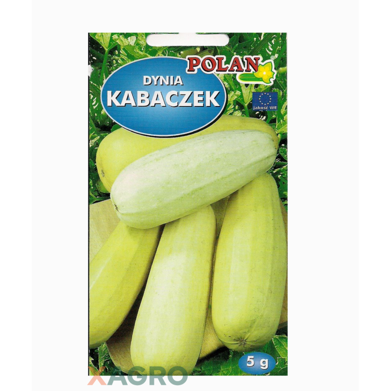 Dynia Kabaczek Złoty Cepelin