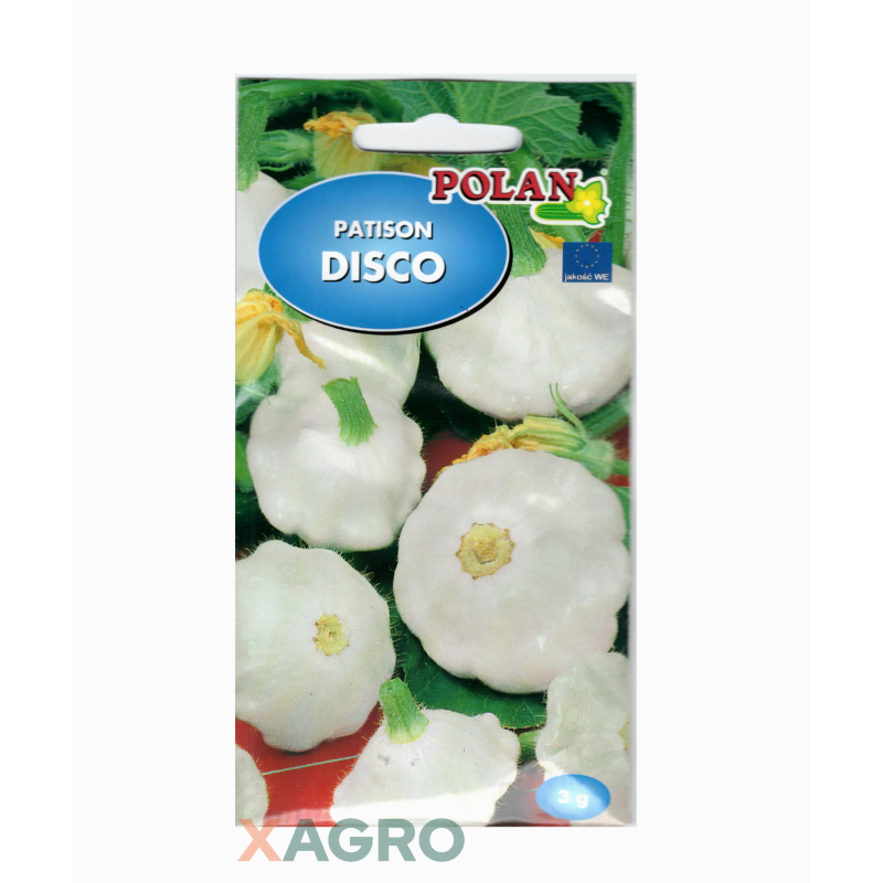 Patison Disco