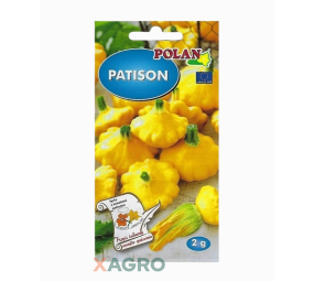 Patison Orange