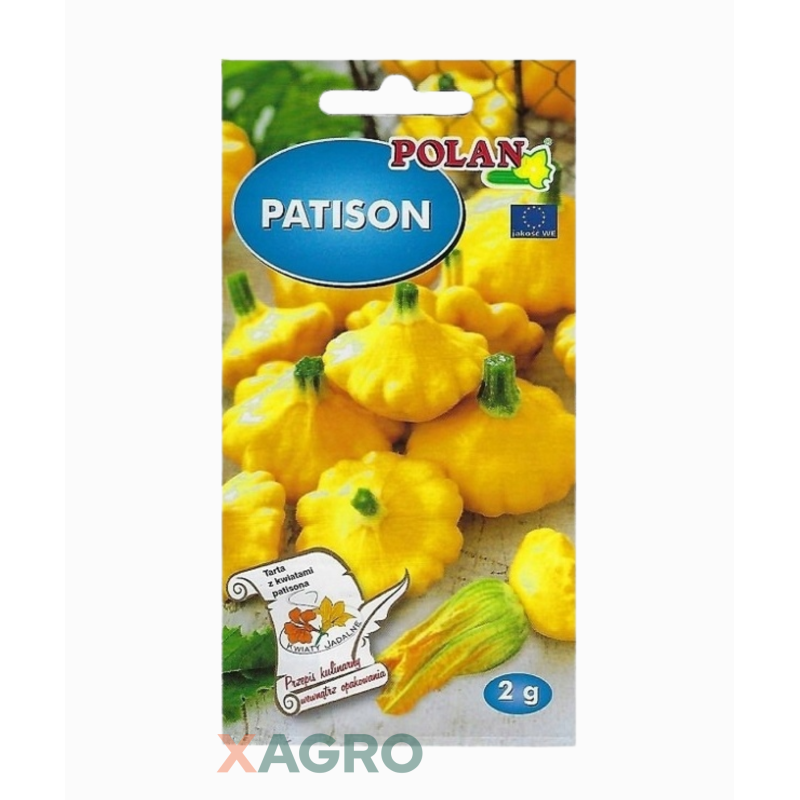 Patison Orange
