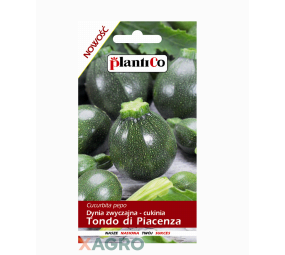 Cukinia Tondo di Piacenza