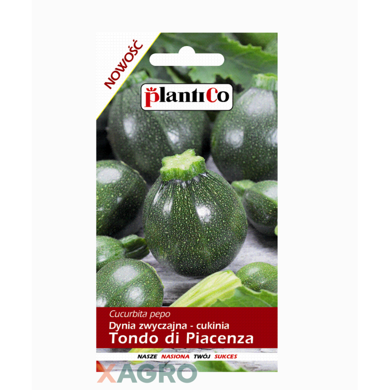 Cukinia Tondo di Piacenza