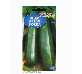 Cukinia Astra Polka