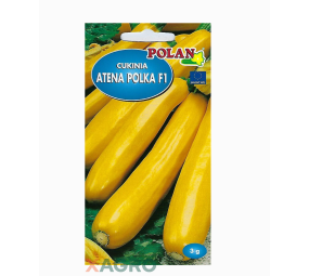 Cukinia Atena Polka F1