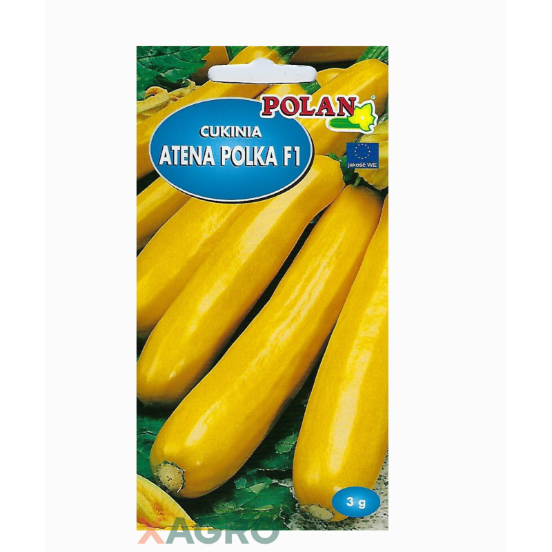 Cukinia Atena Polka F1