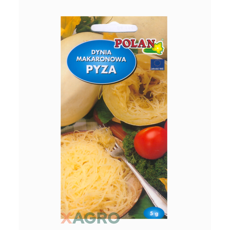 Dynia Makaronowa Pyza
