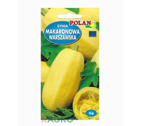 Dynia Makaronowa Warszawska