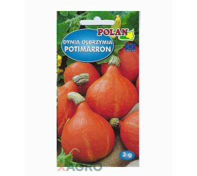 Dynia Olbrzymia Potimarron