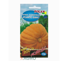 Dynia Olbrzymia Atlantic Giant