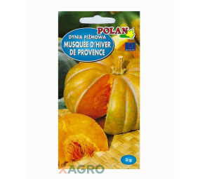 Dynia piżmowa Musquee d’Hiber de Provence