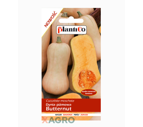 Dynia piżmowa Butternut