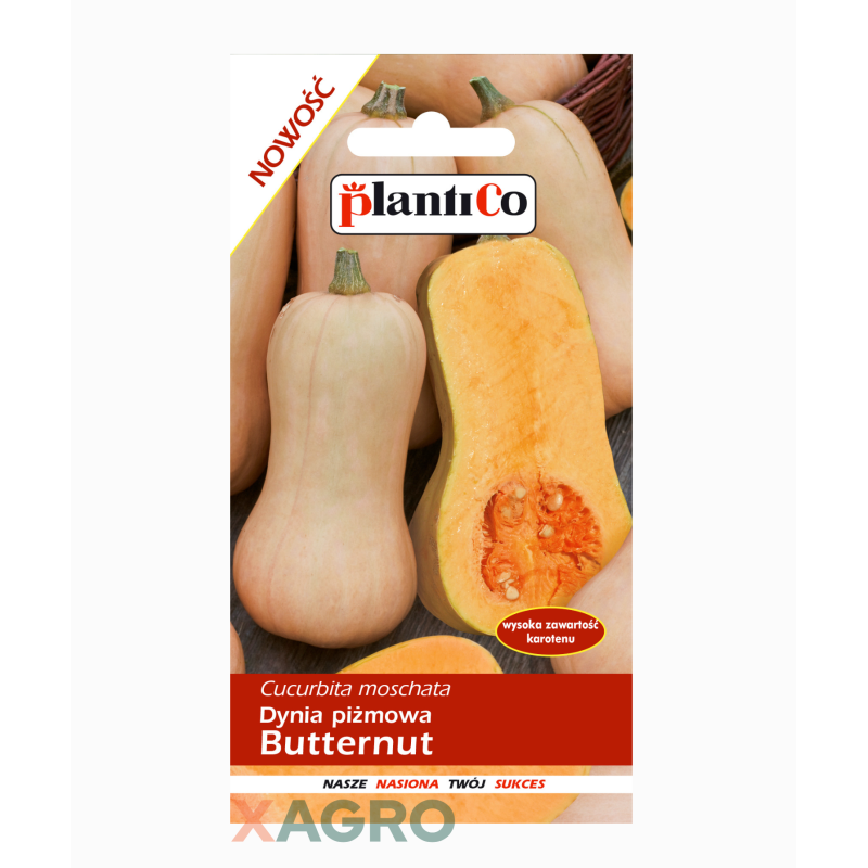 Dynia piżmowa Butternut