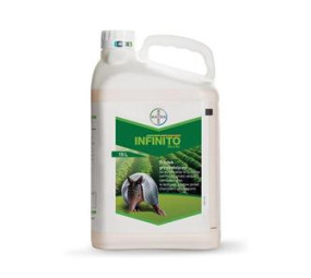 Infinito 687,5 SC (przeciwgrzybowy ogórek, ziemniak, cebula..)