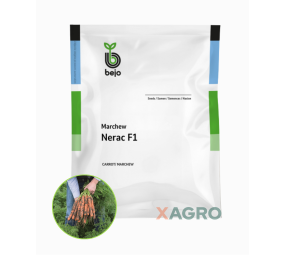 Marchew Nerac F1 Bejo