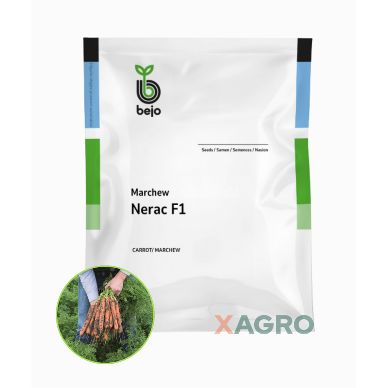 Marchew Nerac F1 Bejo