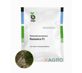 Pietruszka korzeniowa Romanica F1 B- Mox