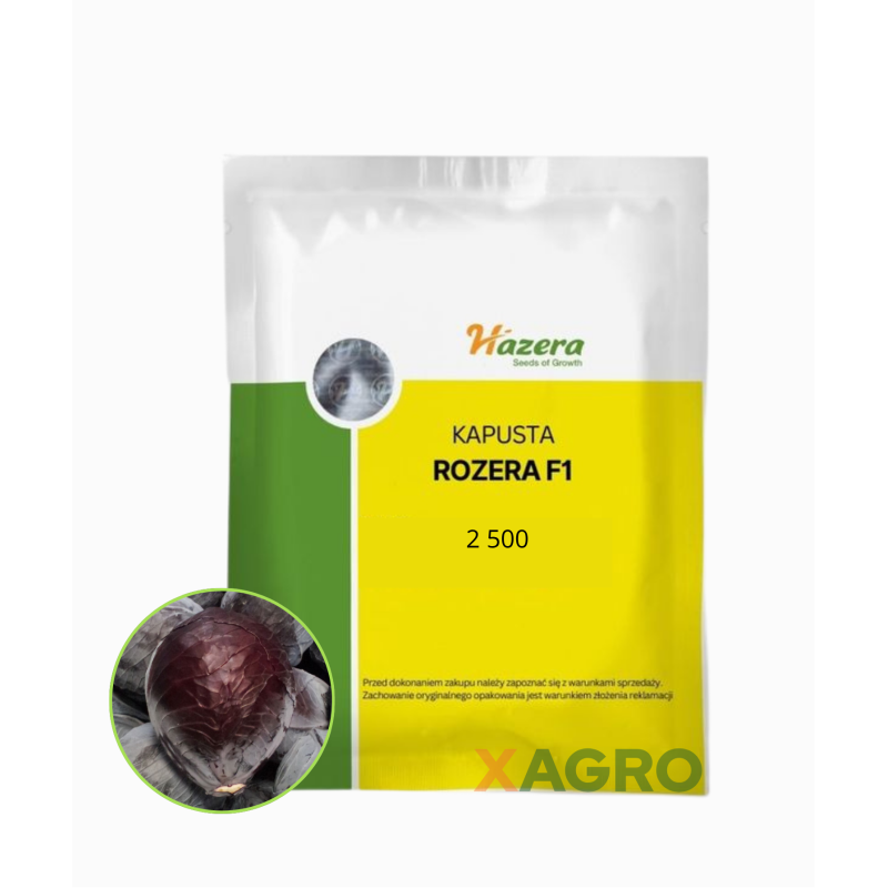 Kapusta czerwona Rozera F1