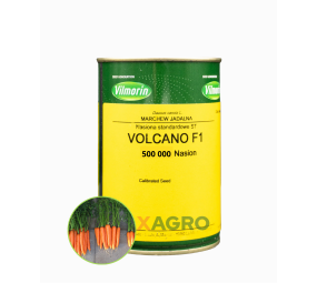 Marchew jadalna Volcano F1