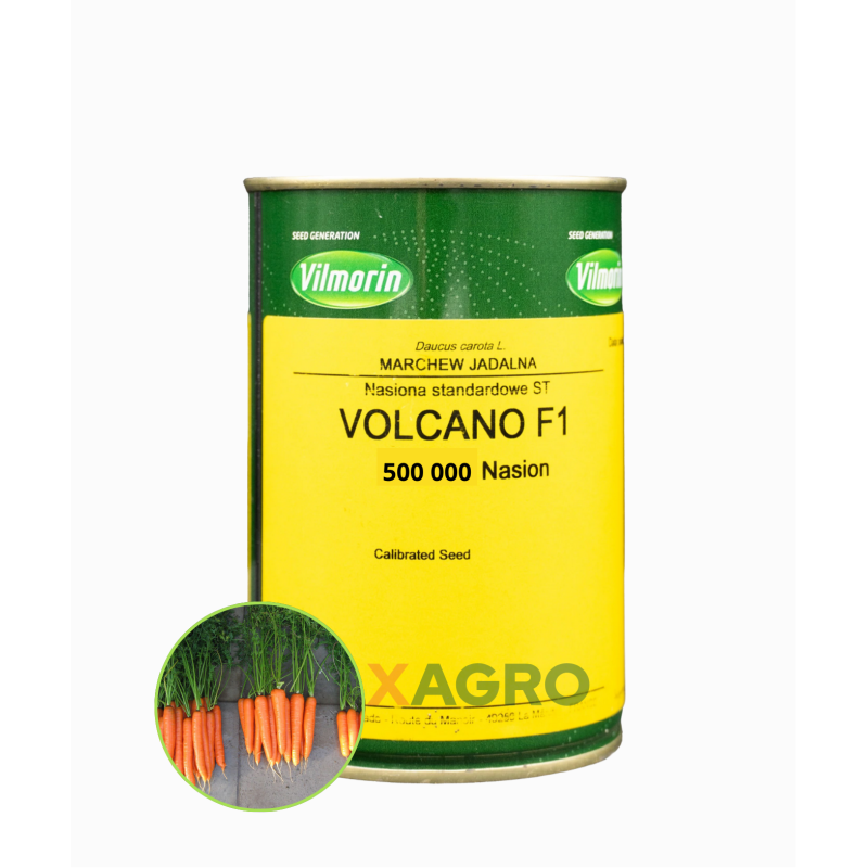 Marchew jadalna Volcano F1
