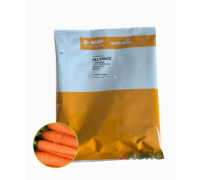 Marchew   Allyance F1