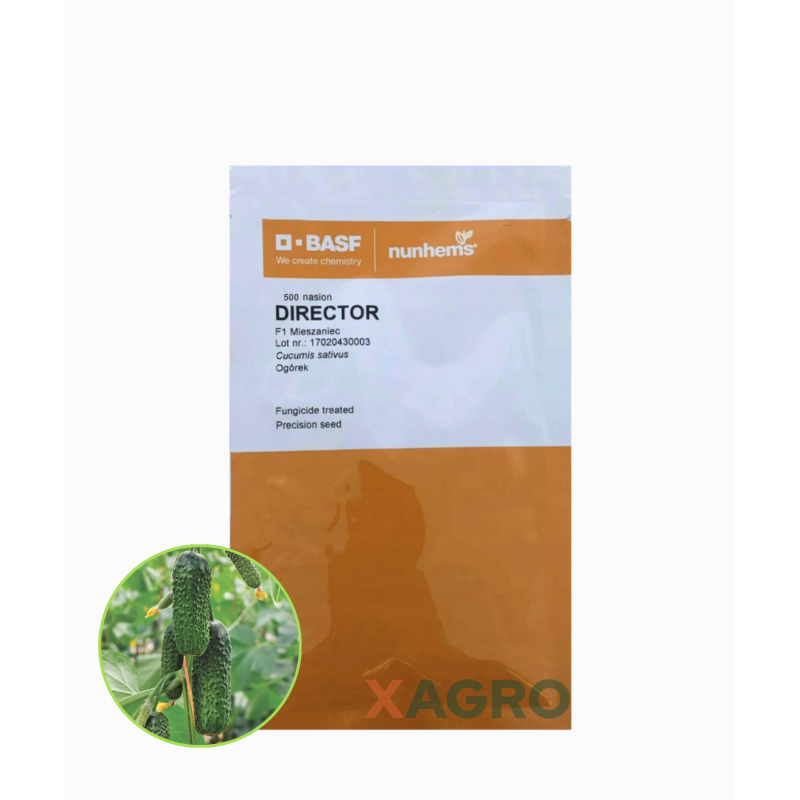 Ogórek gruntowy Director F1