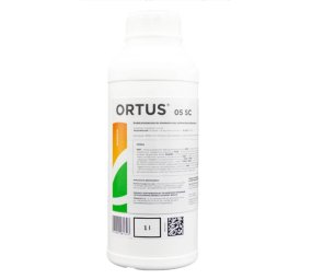 Ortus 05 SC